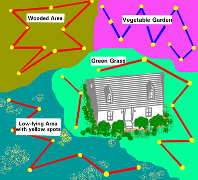 Illustration of four types of areas around a house with zig zag patterns and sampling points for each area. Example areas are: wooded, green grass, vegetable garden, and low-lying area with yellow spots.