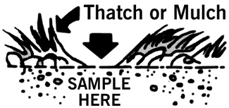 illustration showing where to sample. An arrow points at a bare spot, surrounded by thatch or mulch.