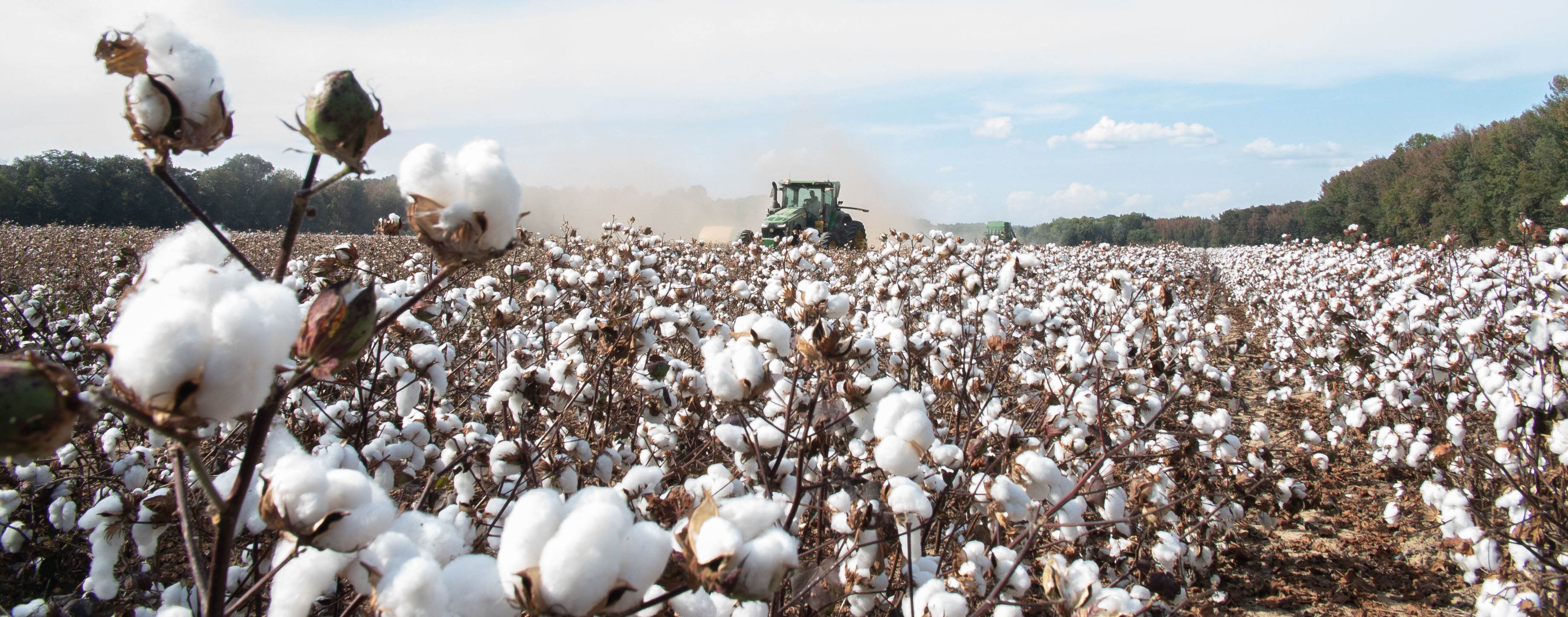 2023 UGA On-Farm Cotton Variety Evaluation Program
