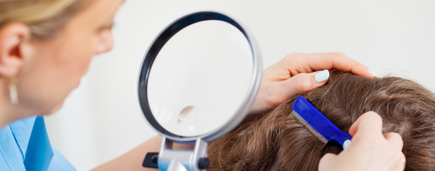 A School's Guide to the 'Nitty-Gritty' About Head Lice