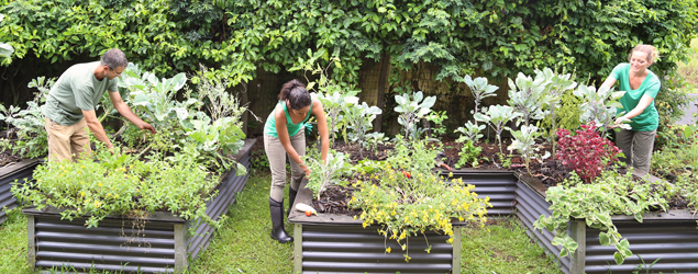 Summer Management Strategies for School Gardens