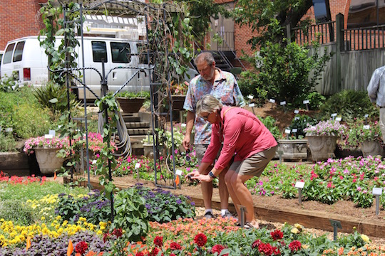Greenhouse and nursery growers from across the southeastern United States converged in Athens June 12-15 for the inaugural Academy of Crop Production hosted by the UGA Department of Horticulture. Part of the program included the annual Industry Open House at the Trial Gardens at UGA.