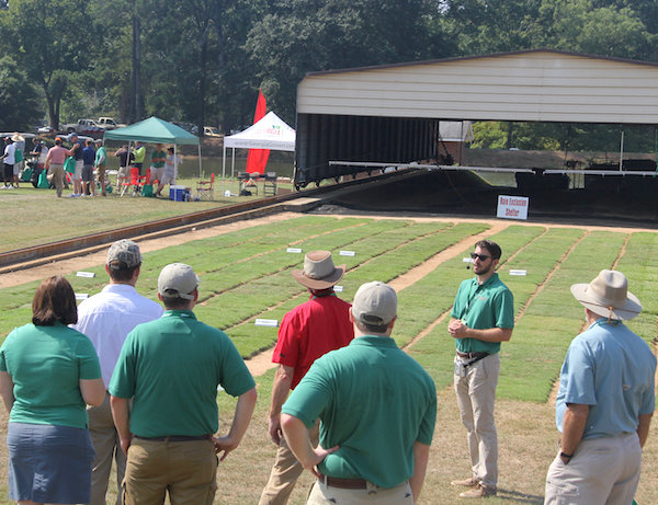 Newly named University of Georgia turfgrass researcher David Jespersen was among the UGA experts who presented their research findings at the Turfgrass Research Field Day on Thursday, Aug. 4. Jespersen is shown sharing the results of a UGA research project that evaluated the drought tolerance of four turfgrass species.