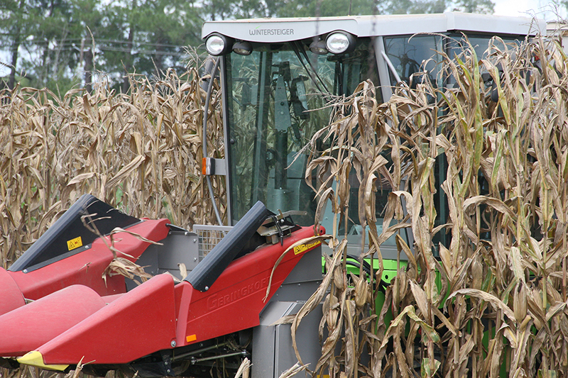 Corn being harvested on the UGA Tifton campus in 2016.