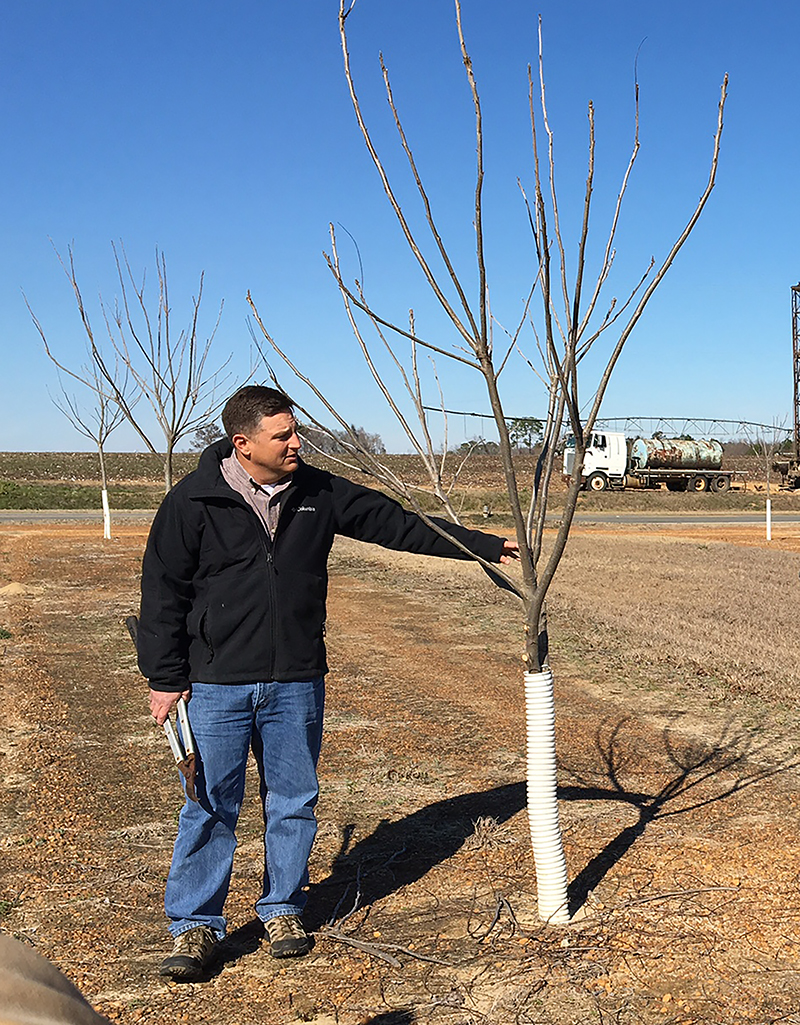 Lenny Wells conducts a pecan pruning clinic in Wilcox County on Jan. 31, 2018.