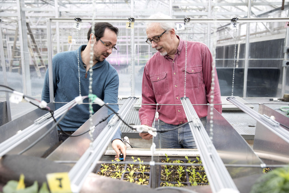 UGA College of Agricultural and Environmental Sciences Department of Horticulture's Professor Marc van Iersel, right, is leading an interdisciplinary team which hopes to integrate new lighting technologies, big data and better growing practices to reduce energy costs in greenhouses and plant factories.