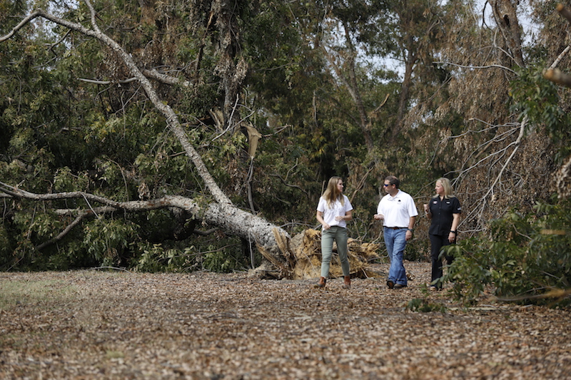 UGA Extension agents Nan Bostick (left) and Lindsey Hayes (right) tour one of Rob Cohen's (center) pecan orchards in Decatur County, Georgia, following Hurricane Michael.