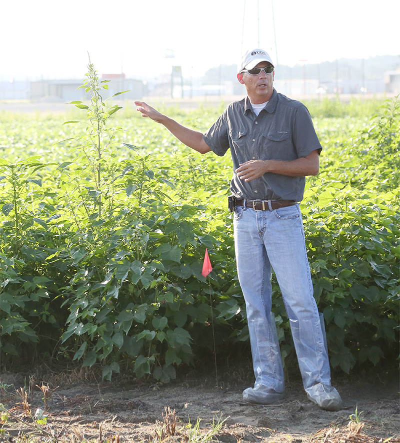UGA Extension weed scientist Stanley Culpepper speaks about weed research during a field day.