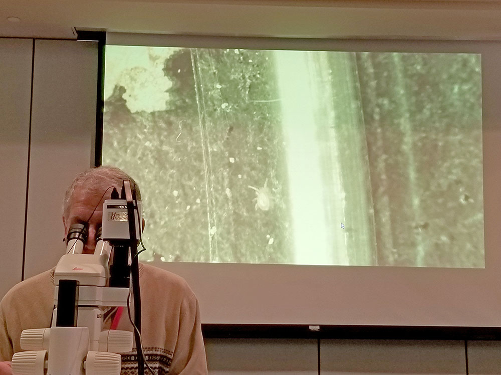 Professor and UGA Extension Entomologist Will Hudson projects images of a beneficial predator from his microscope during a presentation on beneficial insects.