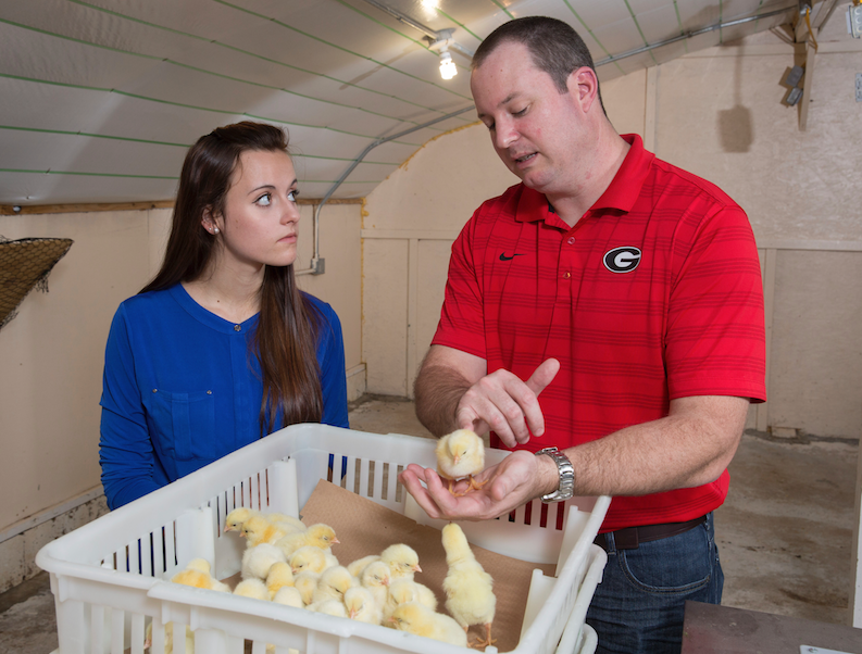Brian Jordan (right), an assistant professor in the Department of Population Health and the Department of Poultry Science at the University of Georgia, is working to improve the vaccines available for poultry in hopes that they’ll improve the well-being of chickens and protect the health of chicken consumers.
