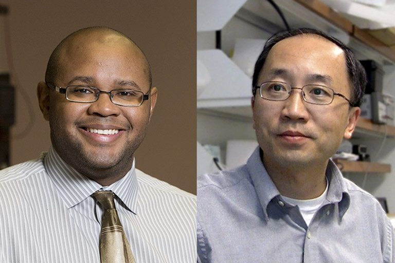 UGA scientists Franklin West and Qun Zhao have draw comparisons between sensory and cognitive relevance found in swine and those previously established in humans. Collaborators in the UGA Regenerative Bioscience Center, West and Zhao have discovered that pig brains are even better platforms than previously thought for the study of human neurological conditions such as Alzheimer’s and Parkinson’s.