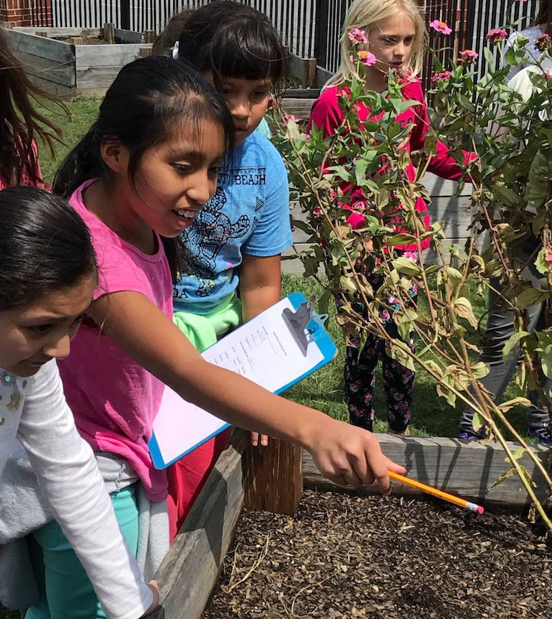 More Georgia students, like these at City Park Elementary in Dalton, Georgia, are learning science, technology, engineering, art and math by planting and tending school gardens.