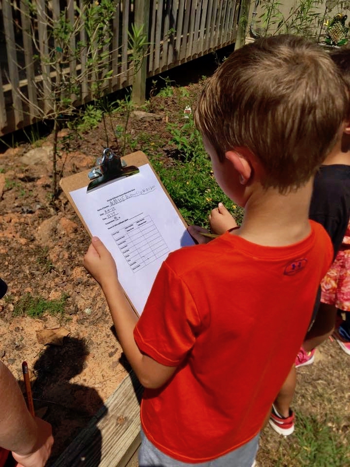 A student at New Mountain Hill Elementary School in Harris County, Georgia, practices counting pollinators in advance of the Great Georgia Pollinator Census, Aug. 23-24. Georgians who want to join the count should sign up at ggapc.org.