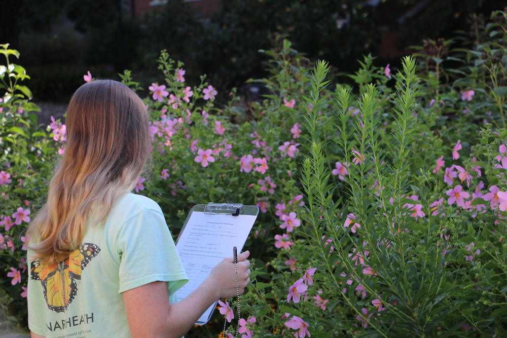 Spending time outdoors, including activities such as UGA Extension's Great Georgia Pollinator Census to be held Aug. 21-22, offers numerous physical and mental health benefits such as reduced stress, greater cognitive functioning and increased physical activity.