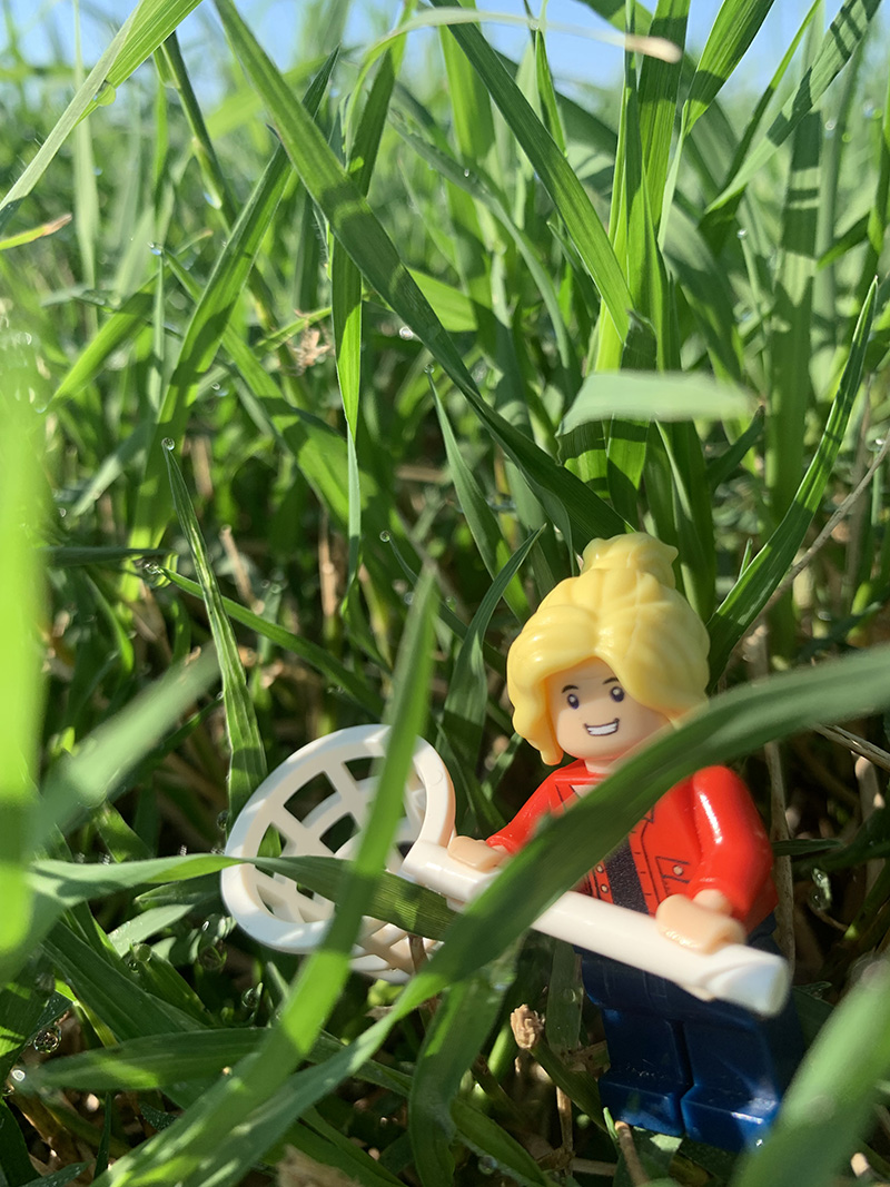 Lego Forage Specialist, or Lego Lisa, is a fixture on social media thanks to UGA Extension forage specialist Lisa Baxter.