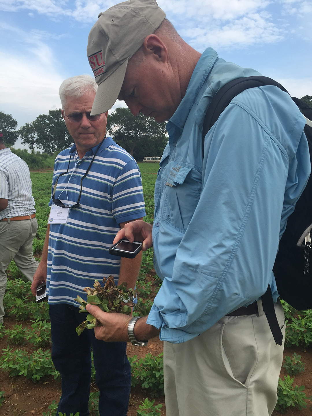 David Jordan, a crop science professor at North Carolina State University, is lead scientist on a project through the Peanut Innovation Lab at the University of Georgia to update a risk assessment tool for farmers in North Carolina and overseas partners. (Photo by Allison Floyd)