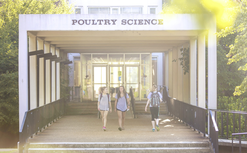 The $6.5 million in funding that USPOULTRY has provided to the UGA Department of Poultry Science supports both life-changing academic programs and world-changing research.