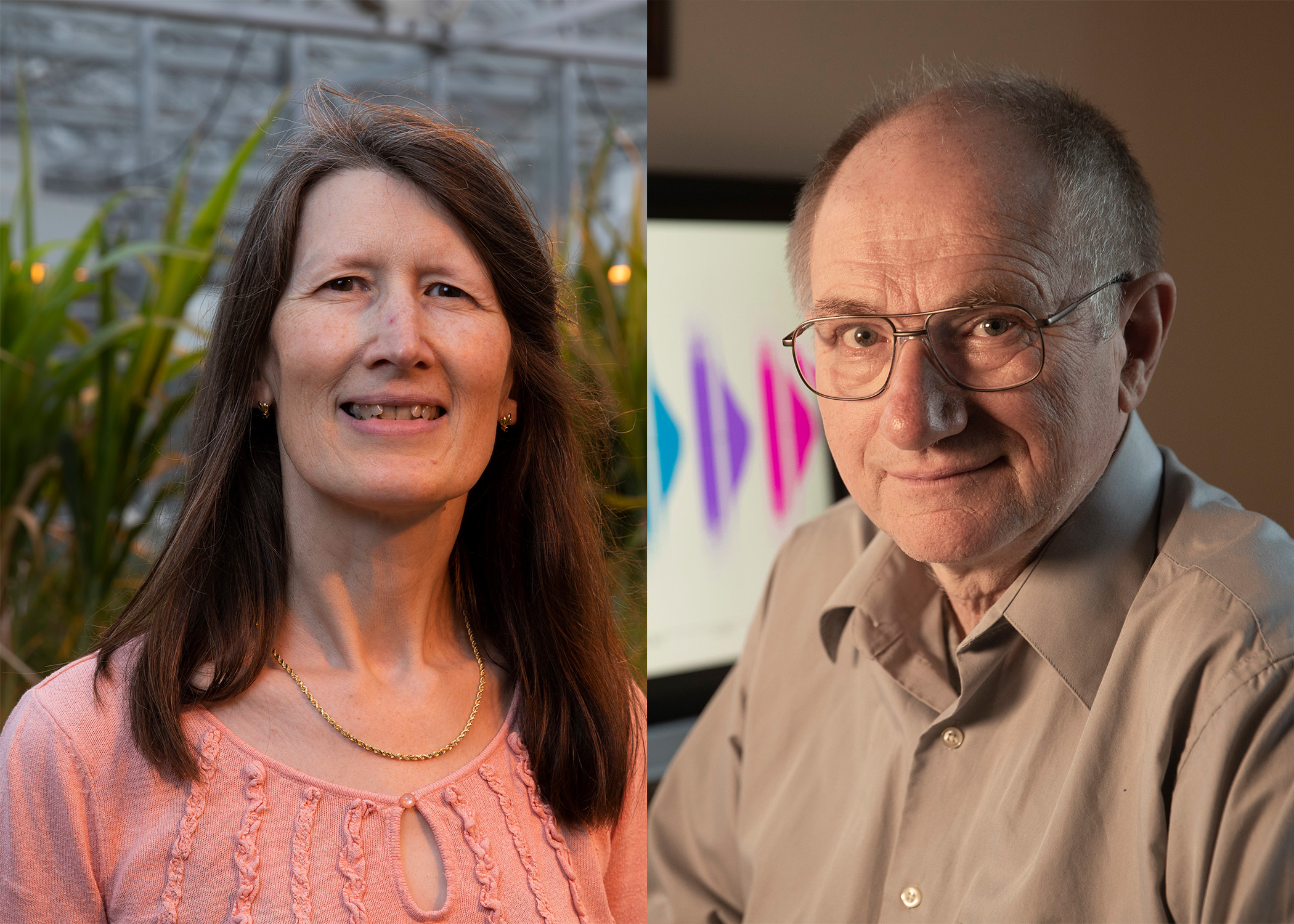 The title of Distinguished Research Professor is awarded to faculty who are internationally recognized for their original contributions to knowledge and whose work promises to foster continued creativity in their discipline. Katrien Devos and Ignacy Misztal are two of the 2020 recipients.