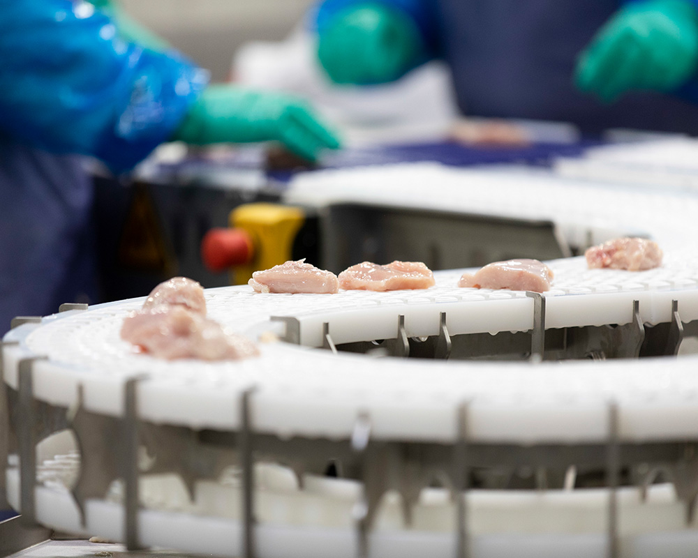 UGA poultry science researchers will study various potential contamination methods for SARS-CoV-2 in meat and poultry plants and what product-treatment methods can be used to mitigate the virus on food products.