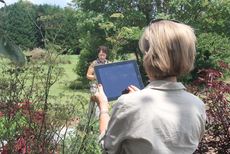 A statewide survey is currently open to the public for anyone who is not already a Georgia Master Gardener Extension Volunteer and may be interested in the program or its services. A Master Gardener, pictured here, takes photographs of insects at the UGA Research and Education Garden in Griffin. (file photo)