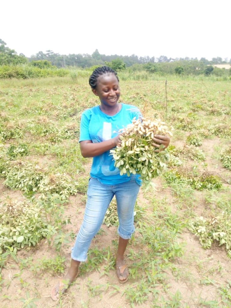 Jennifer Abogoom studies at Kwame Nkrumah University of Science and Technology (KNUST) in Kumasi, where she is pursuing a master's degree in seed science and technology and investigating the consistency of groundnut seed that farmers use.