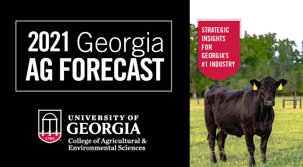 The 2021 Georgia Ag Forecast seminar will be held online at no cost starting at 9:30 a.m. Friday, Jan. 29.