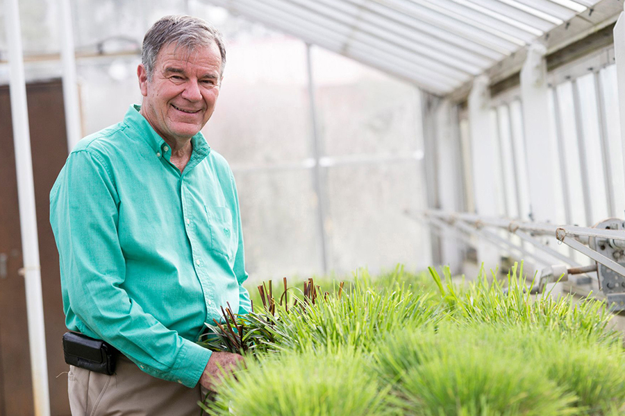 Wayne Hanna, best known for developing TifTuf, the strongest turfgrass ever produced at UGA, has established several endowments supporting research at the College of Agricultural and Environmental Sciences.