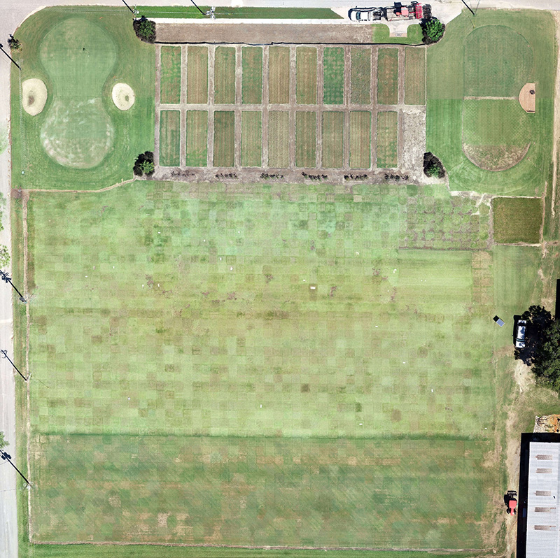 A drone photo shows turfgrass research plots on the UGA Tifton campus.