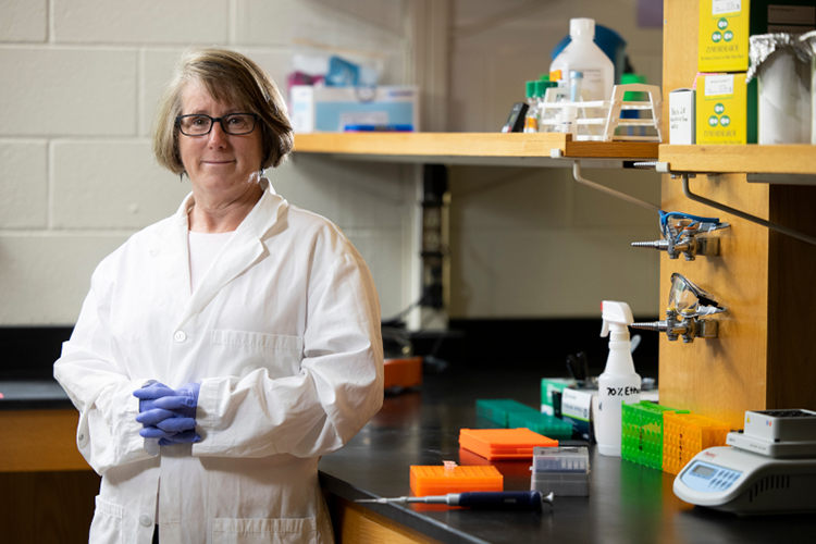 Robin Buell, who recently joined the faculty in the College of Agricultural and Environmental Sciences as the GRA Eminent Scholar Chair in Crop Genomics, has been at the forefront of genomic research, having been involved in sequencing the first plant genome, Arabidopsis, and the first crop genome, rice.