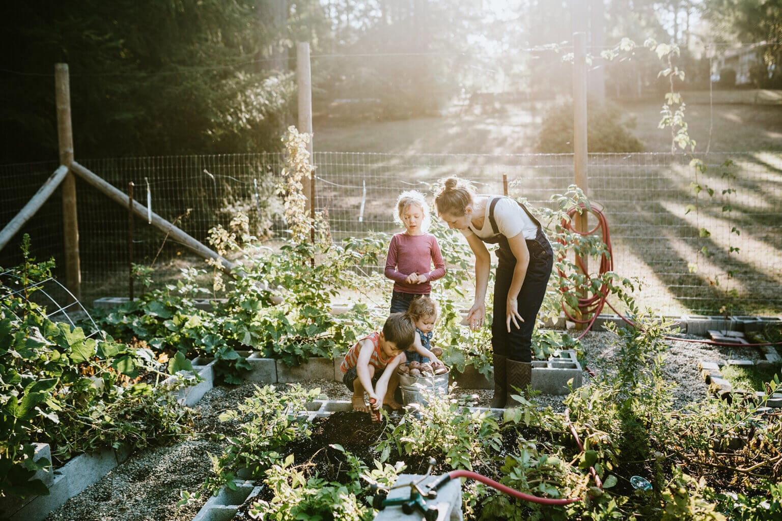 During the pandemic, many parents spent time with their children while gardening. (Getty Images)