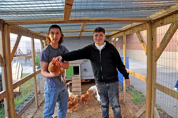 At Gwinnett County's Archer High School, juniors juniors Nick Spoto (left) and Jordan Leyva with one of the chickens, named Bentley by Leyva, they have helped raise as part of the AgSTEM program's chicken coop, which was built by students.