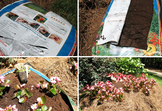 Four photos showing establishment of a soil bag bed. Cut open the bag of soil and plant flowers in the soil still in the bag.