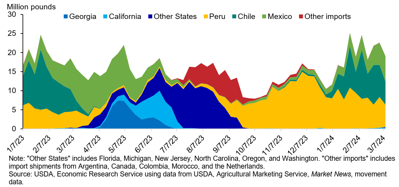 Chart of quantity of blueberry shipments in the U.S. as described in the accompanying text.