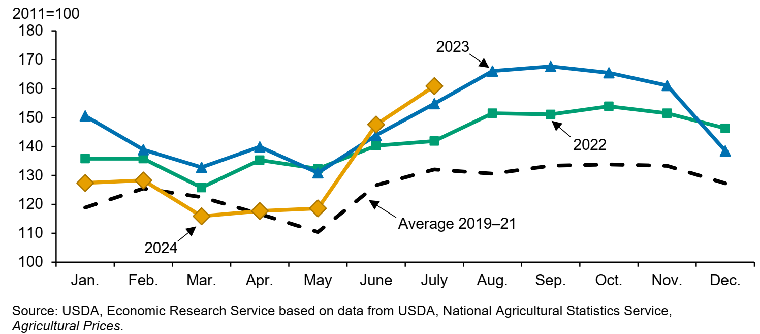 The monthly producer price index for fresh fruit and tree nuts showing 2022, 2023, and through July 2024, compared to the average of 2019-2021. The trends are described in the text.