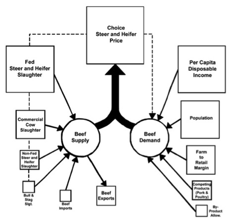 Factors that affect feeder cattle prices include beef supply factors like slaughter and beef demand factors like per capita disposable income and population.