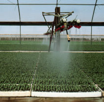 Nozzled boom sprayer in a greenhouse