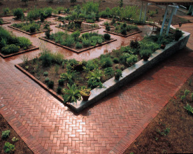 herb garden