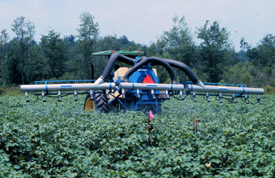 Air-assisted sprayer