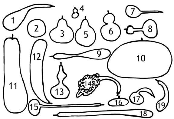 Shapes of gourds, labeled with numbers (explained below)
