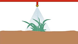 Figure 43. Use one or two nozzles over the row for small plants.