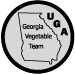 UGA Vegetable Team