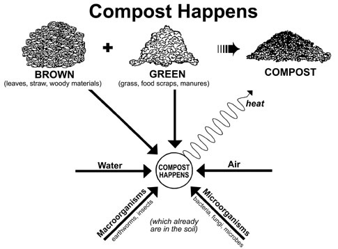 Brown and green material, water, air, and microorganisms combine to create compost.