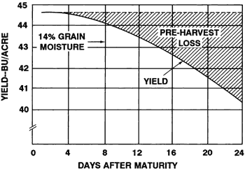 Graph of yield-bu/acre by day after maturity. The pre-harvest loss increases over time, so the yield decreases longer after maturing