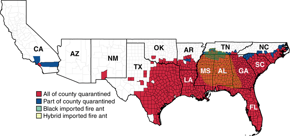 Map of southern U.S. states showing imported fire ant areas. Much of the southeast and TX have all of county quarantined. Some CA counties are partly quarantined. In TN, MS, and AL some counties have the black imported fire ant. Much of MS, all of AL, and western GA have hybrid imported fire ants.