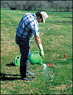 Person using a mound drench