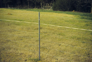 Step-in Post Electric Fencing Posts Fence Poly Plastic Horse Paddock Line Pole 