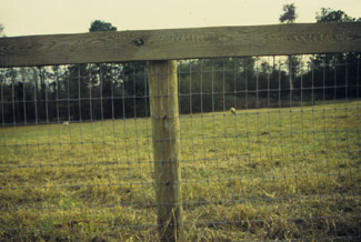 Photo of a square mesh fence with a top rail