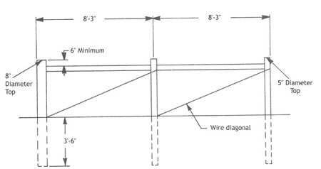 Illustration showing double span H-brace assembly. Length between posts is 8 ft, 3 in. Post depth is 3 ft, 6 in. The end post has an 8 in. diameter, the other posts have 5 in. diameters