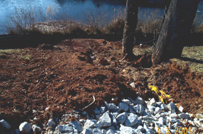 Photo of eroding slope that is by a pond