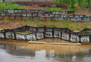 Silt fences protecting water source.